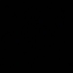 Meet your Posher, Will